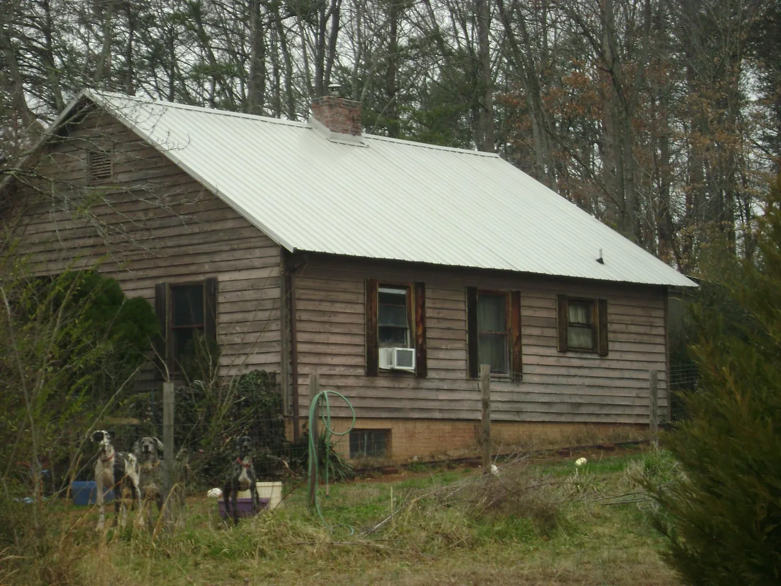 White metal roof on an old wood sided farmhouse, from a Asphalt Shingle Roof Repair job in Cameron